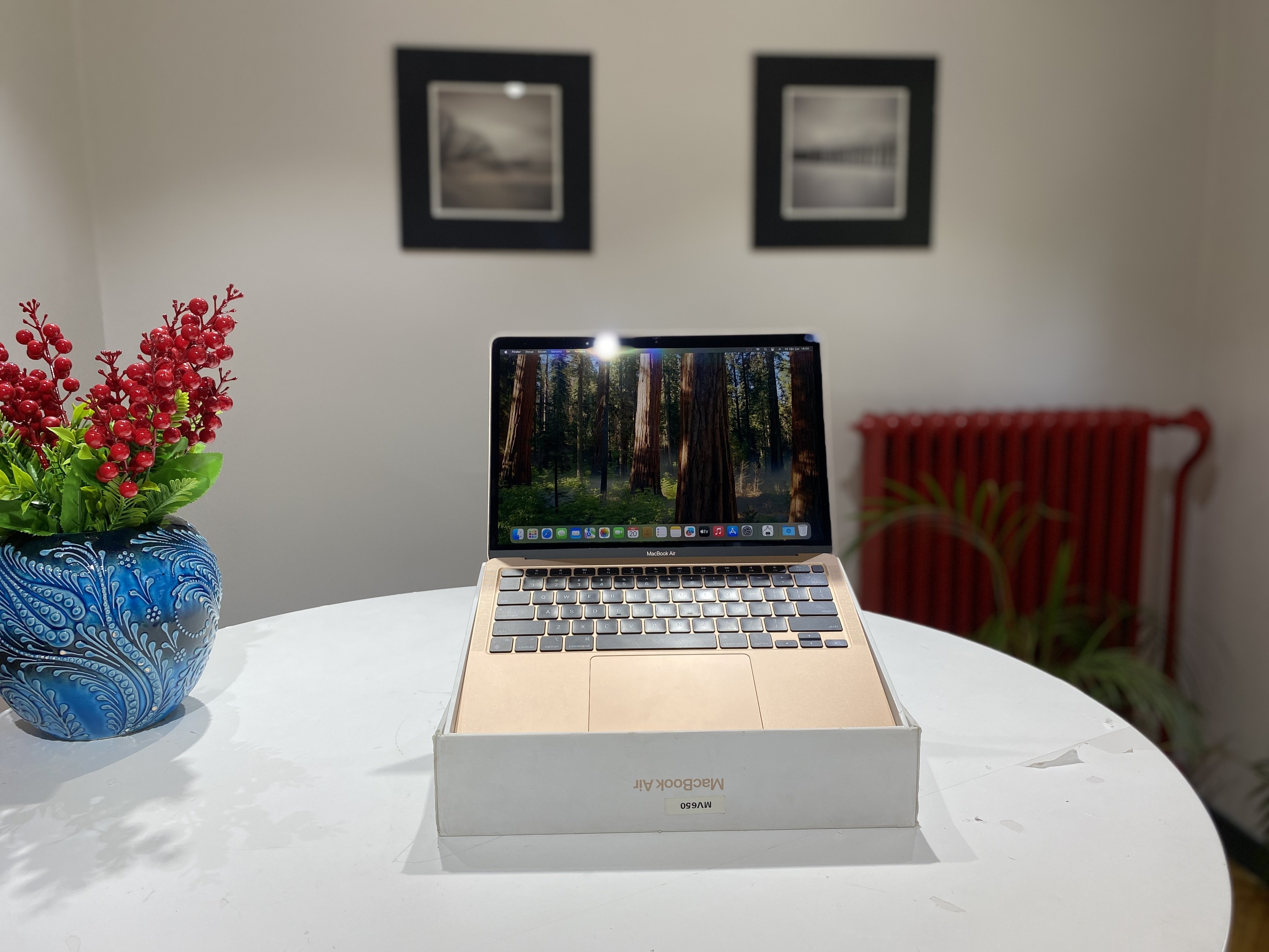 MacBook Air M1 2020 (A2337)